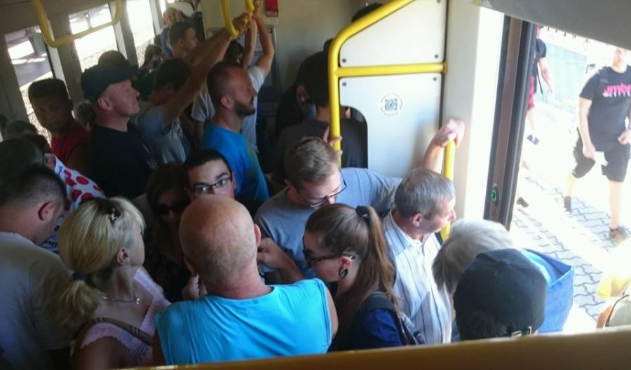 Klęska urodzaju w pociągu do Medzilaborzec [film]