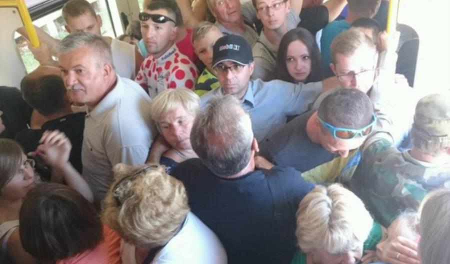 Klęska urodzaju w pociągu do Medzilaborzec [film]