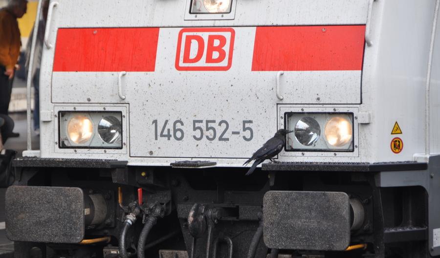 Więcej pociągów od polsko-niemieckiej granicy do Berlina Więcej pociągów od polsko-niemieckiej granicy do Berlina
