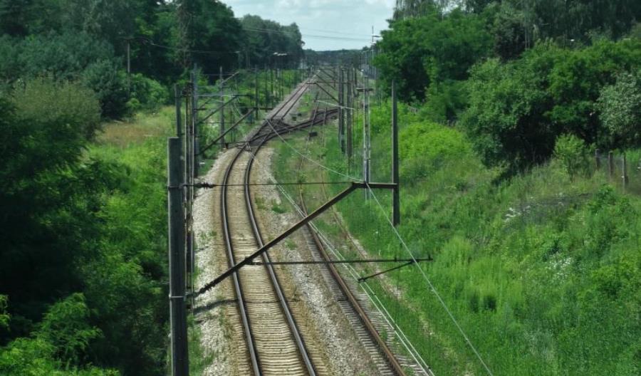 PKP PLK: Kiedy glifosat zniknie z utrzymania linii? PKP PLK: Kiedy glifosat zniknie z utrzymania linii?