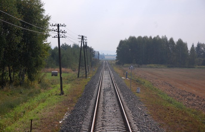 Podkarpackie. 35-latek próbował pojechać na stopa lokomotywą