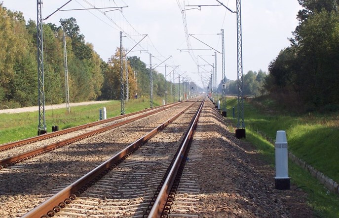 Rosną koszty zderzeń pociągów ze zwierzętami. Dlaczego?
