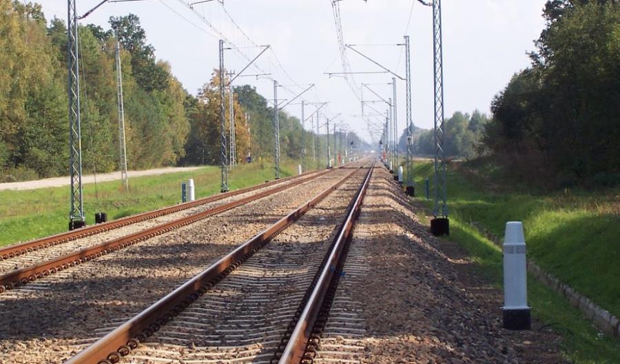 Rosną koszty zderzeń pociągów ze zwierzętami. Dlaczego? Rosną koszty zderzeń pociągów ze zwierzętami. Dlaczego?