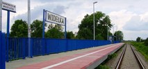 Przetarg na prace przy linii Rzeszów – Tarnobrzeg