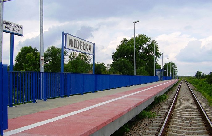 Przetarg na prace przy linii Rzeszów – Tarnobrzeg