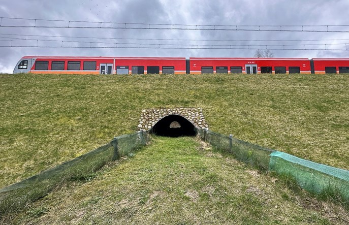 Pomorskie potwierdza: Będą elektryczne pociągi na PKM