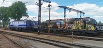 Lokomotywy Intercity mają straszyć zwierzęta niesłyszalnym dźwiękiem