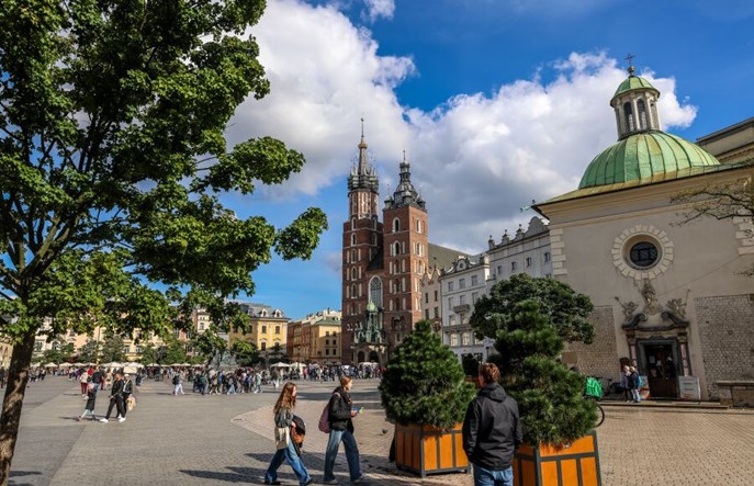 Kraków posadzi drzewa na rynku. Naukowcy opracują dokumentację projektową