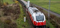 Wasilewska-Semail: PKP Cargo odzyskają pozycję na rynku