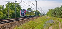 Z ŁKA bezpłatnie wrócisz ze Święta Kwiatów, Owoców i Warzyw w Skierniewicach