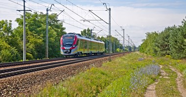 Z ŁKA bezpłatnie wrócisz ze Święta Kwiatów, Owoców i Warzyw w Skierniewicach