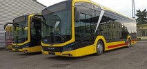 Włocławek wybrał ofertę MAN-a. 14 elektrobusów za 46,39 mln zł
