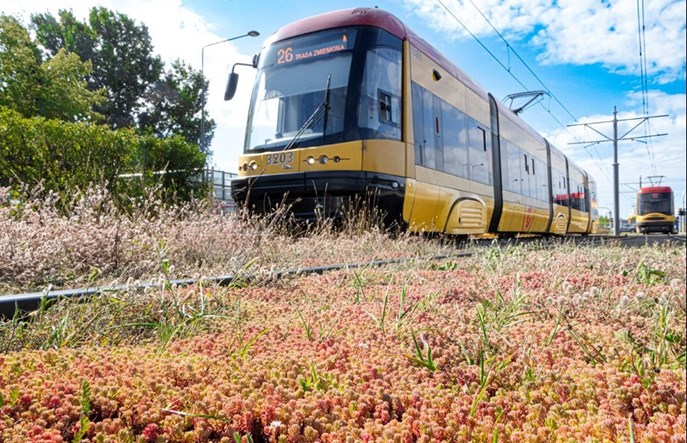 Tramwaje Warszawskie: rekordowy rok remontów, nowych tras i zielonych torów