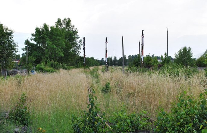 Dolnośląskie nie było zainteresowane połączeniami do Karpacza?