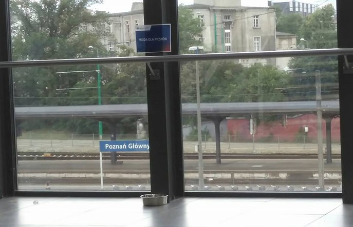 Woda dla piesków. PKP dba o zwierzęta