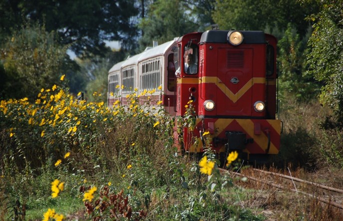 Sukcesy Rogowskiej Kolei Wąskotorowej