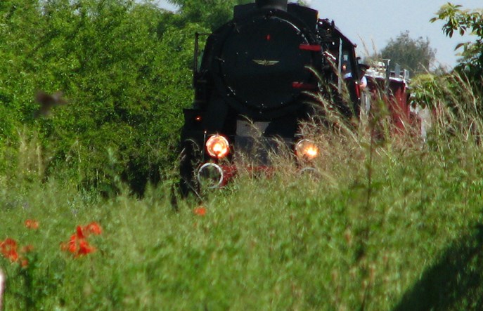 Historyczny tabor nie jeździ przez przepisy
