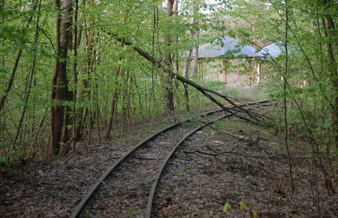 Budżet państwa nie wesprze „wąskotorówek”