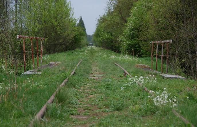 Linia kolejowa do Białowieży zostanie zrewitalizowana