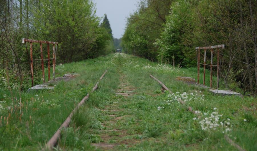 Linia kolejowa do Białowieży zostanie zrewitalizowana Linia kolejowa do Białowieży zostanie zrewitalizowana