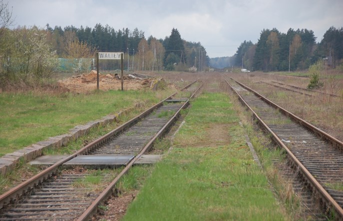 Regionalnym przez media: Wysyp letnich połączeń i szanse dla Nadzalewówki