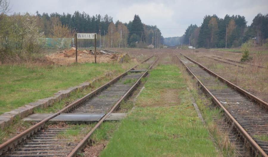 Regionalnym przez media: Wysyp letnich połączeń i szanse dla Nadzalewówki Regionalnym przez media: Wysyp letnich połączeń i szanse dla Nadzalewówki