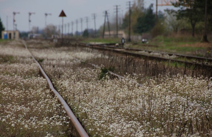 Dziesięć kilometrów nowych torów pod Suwałkami