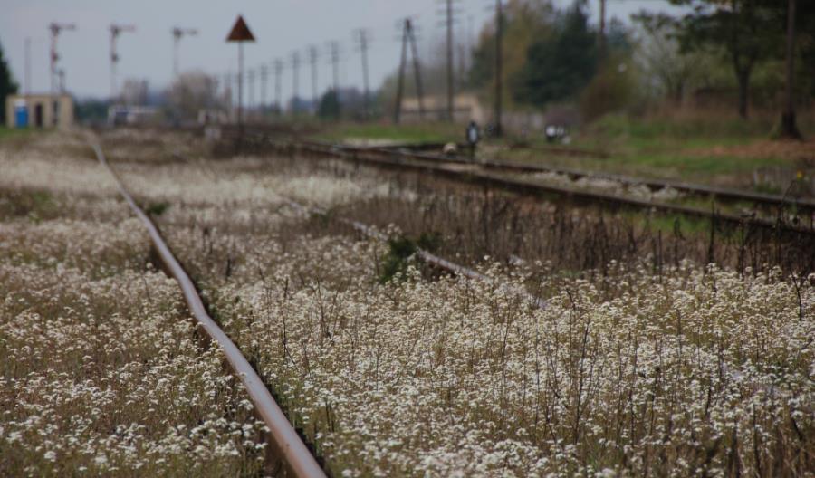 Dziesięć kilometrów nowych torów pod Suwałkami Dziesięć kilometrów nowych torów pod Suwałkami