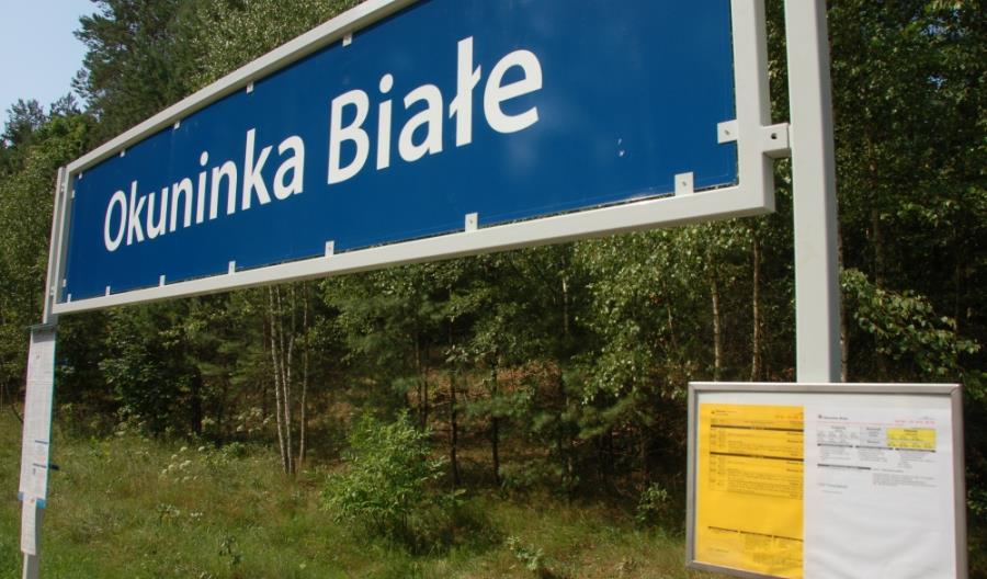 Połączenia sezonowe w Polsce Wschodniej Połączenia sezonowe w Polsce Wschodniej