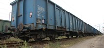Lublin: Biomasa pojedzie koleją?
