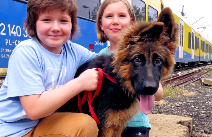 KŚ świętują Dzień Psa