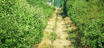 Bliżej torów na śląskie lotnisko w Pyrzowicach. PLK przywrócą linię 182