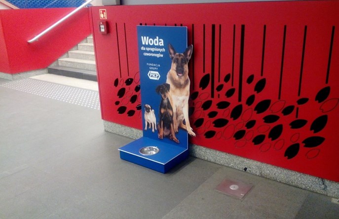 Poidła dla czworonogów na 20 dworcach