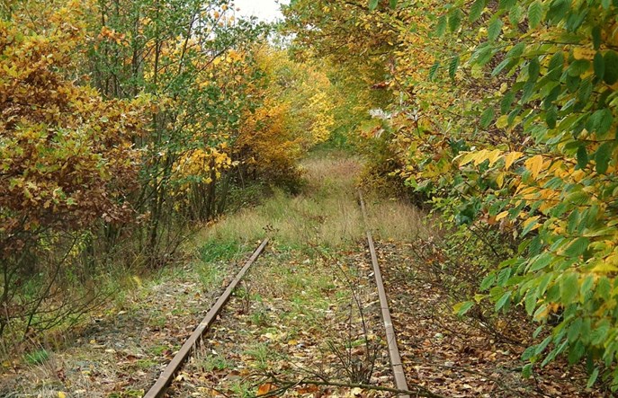 Linia Kobylin – Legnica idzie do rozbiórki