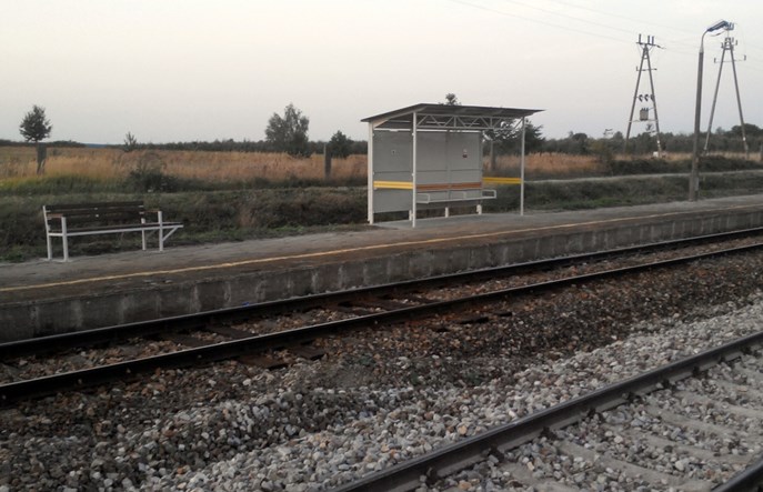 Przed jesienią 21 nowych wiat wokół Radomia