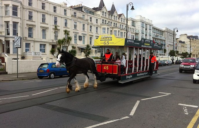 Konie ciągnące tramwaj na wyspie Man zamęczane?