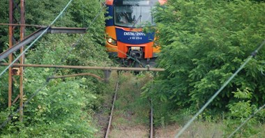 Czy nowo pozyskane składy Polregio pojadą do Polski Wschodniej?