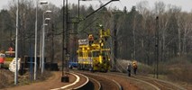 ZUE z najkorzystniejszą ofertą na łącznicę w Czarncy