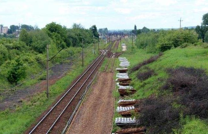 Setki przypadków połamanych drzew na torach. Co robi w tej sprawie PLK?