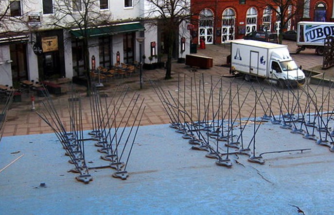 Kolcami w ptaki dla dobra… samochodów