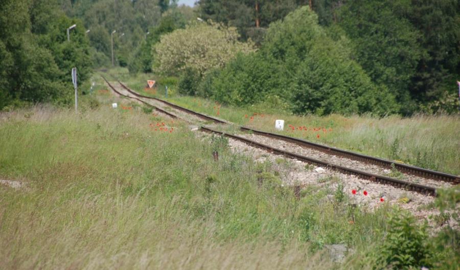 Lubelskie: Czy warto elektryfikować odcinek Rejowiec – Zamość? Lubelskie: Czy warto elektryfikować odcinek Rejowiec – Zamość?