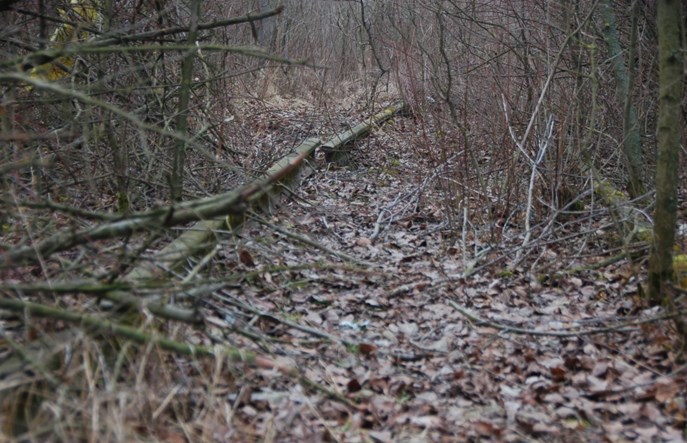 Lubelskie: PKP PLK przywraca do ruchu łącznicę w Rejowcu