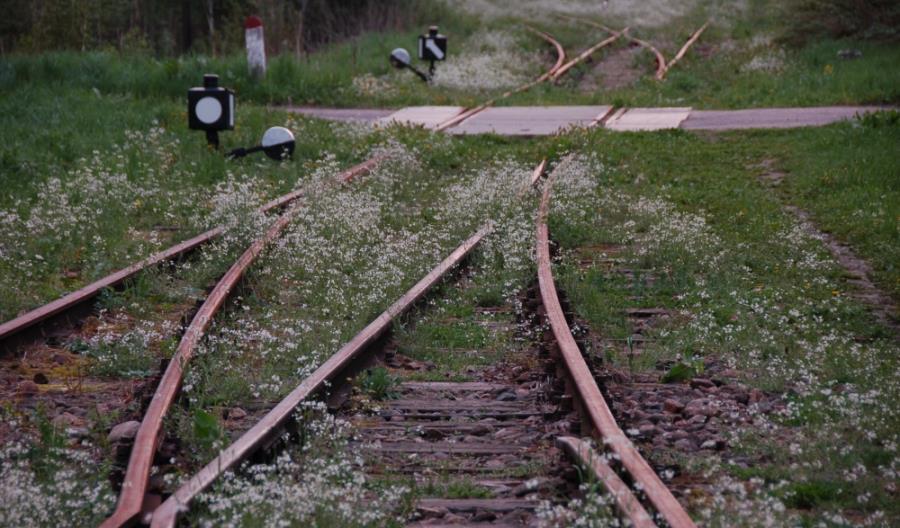 Powiat hajnowski: Trwają przygotowania do rewitalizacji linii do Białowieży Powiat hajnowski: Trwają przygotowania do rewitalizacji linii do Białowieży