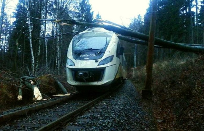 UTK: Drzewo leżące na torach nie oznacza klęski żywiołowej