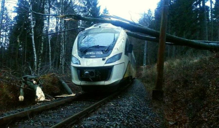 UTK: Drzewo leżące na torach nie oznacza klęski żywiołowej UTK: Drzewo leżące na torach nie oznacza klęski żywiołowej