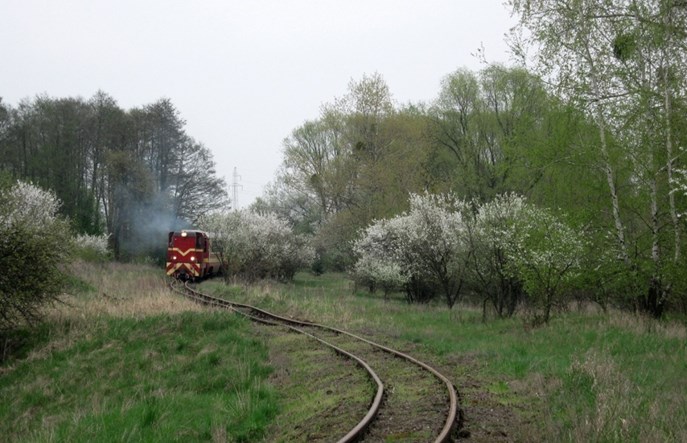 Gnieźnieńska wąskotorówka przed modernizacją i budową stacji
