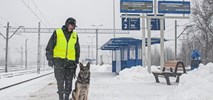 Powstanie Straż Kolejowa. I przejmie ochronę dworców