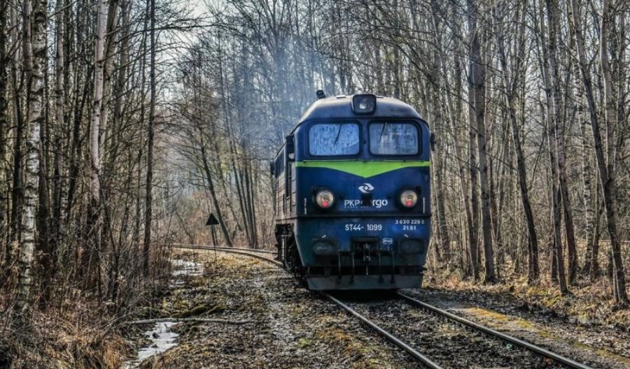 Jest nowy członek RN PKP Cargo i pozytywna opinia w sprawie podziału zysku Jest nowy członek RN PKP Cargo i pozytywna opinia w sprawie podziału zysku