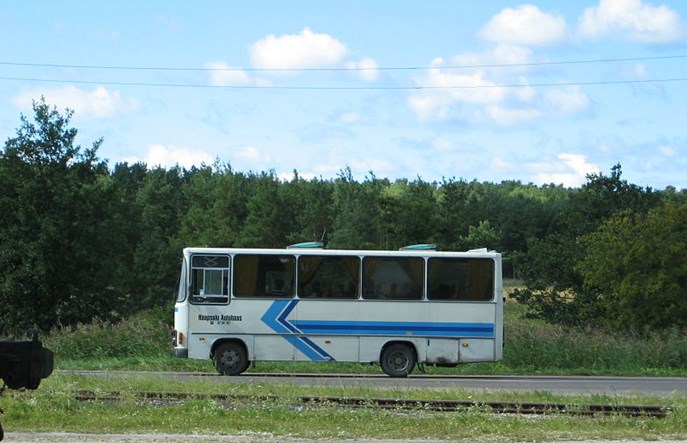 Estonia. Od lipca darmowa komunikacja w całym kraju