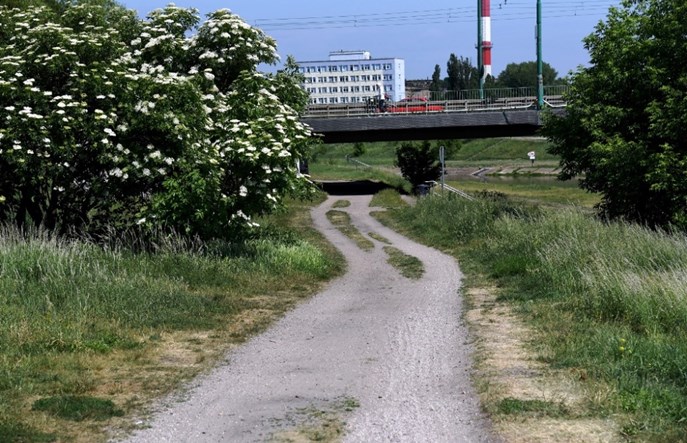 Poznań: Wartostrada pod mostem Chrobrego